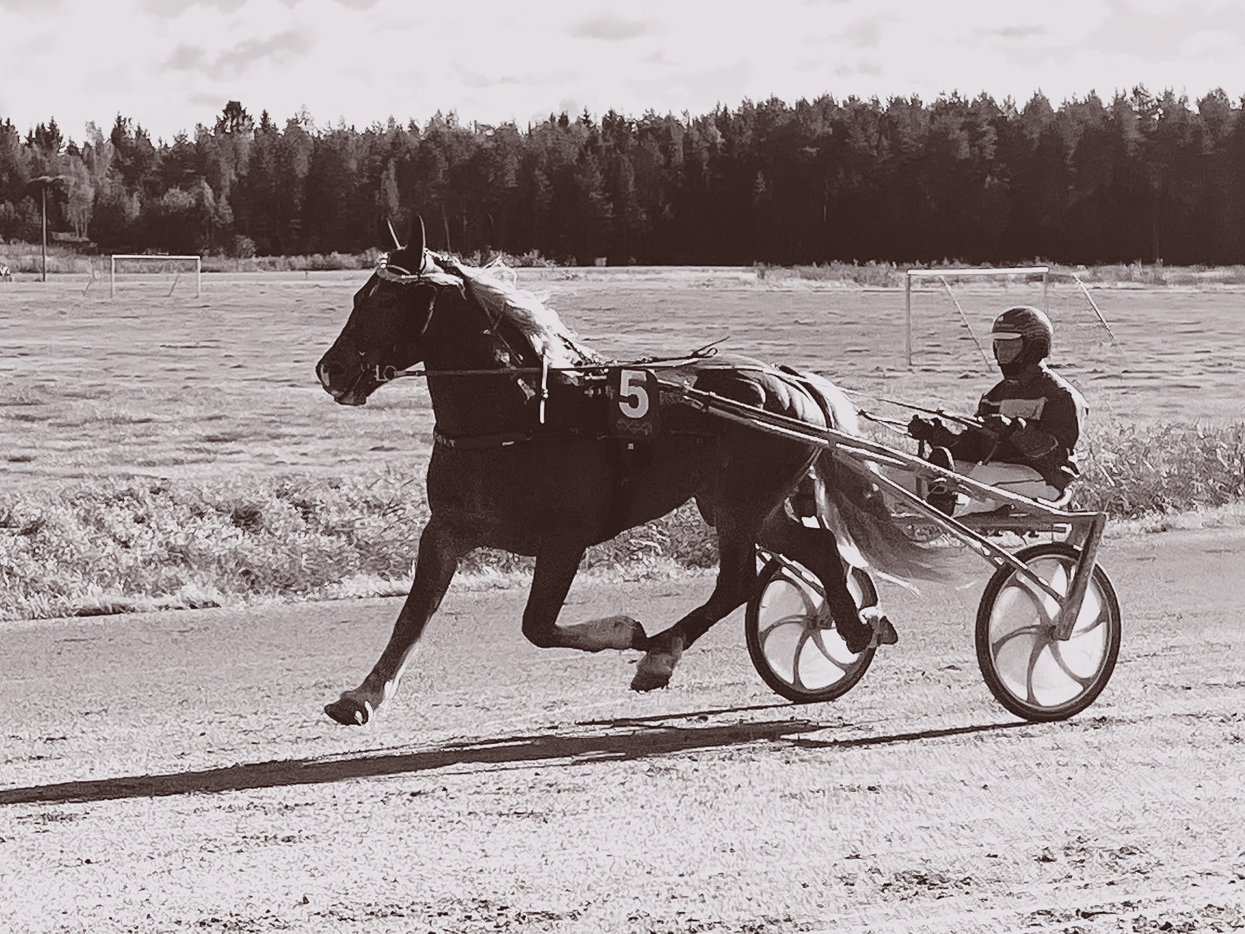 travhäst gammaldags färger